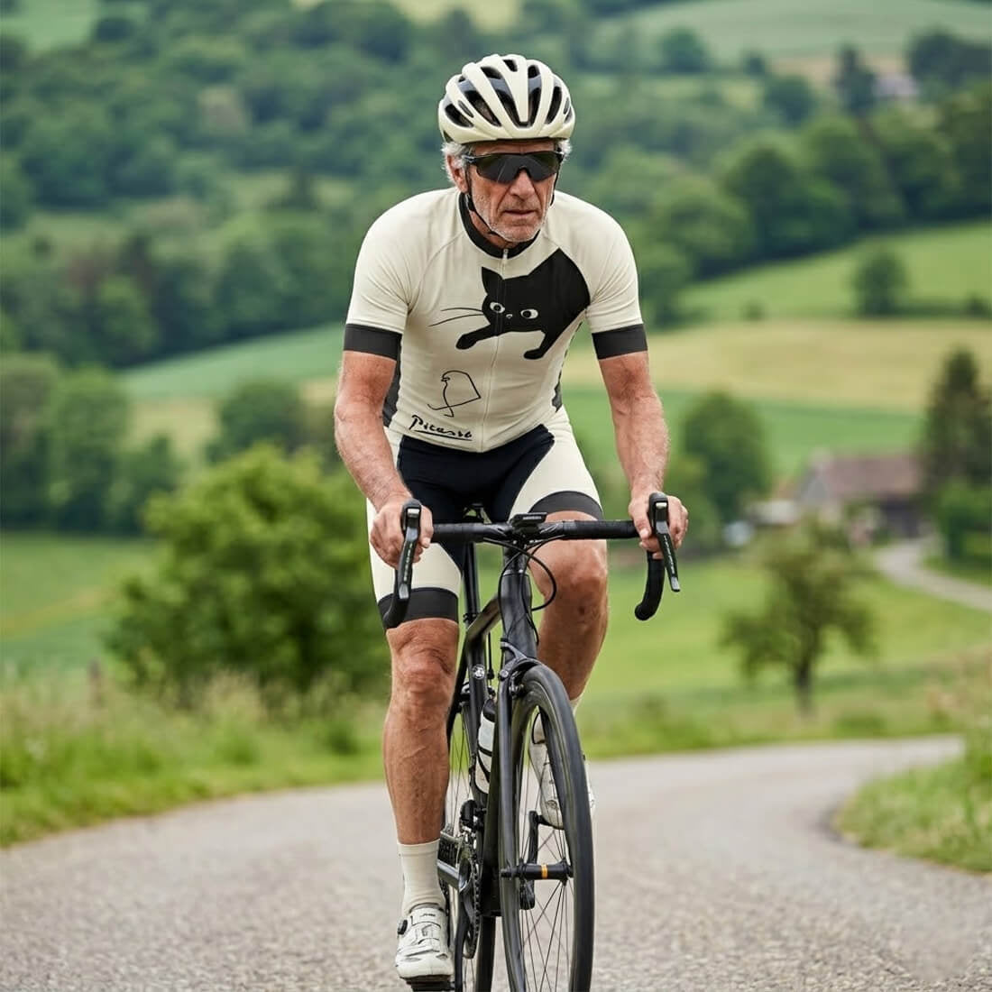 Cat Stalking Picasso Bird - Men's Cycling Kit